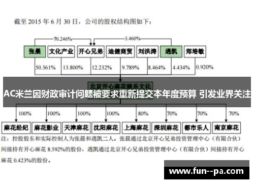 AC米兰因财政审计问题被要求重新提交本年度预算 引发业界关注