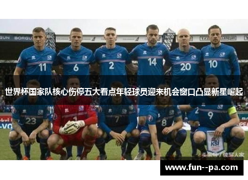 世界杯国家队核心伤停五大看点年轻球员迎来机会窗口凸显新星崛起