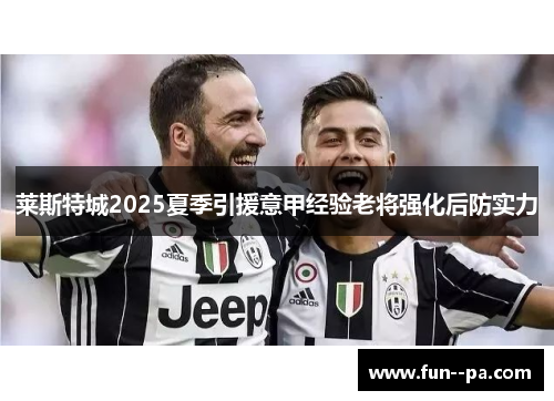 莱斯特城2025夏季引援意甲经验老将强化后防实力