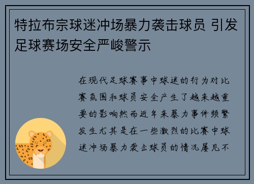 特拉布宗球迷冲场暴力袭击球员 引发足球赛场安全严峻警示